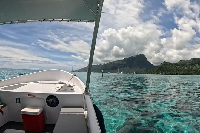 Half-Day Humpback Whales Encounter in Moorea - The cultural side of a wildlife trip