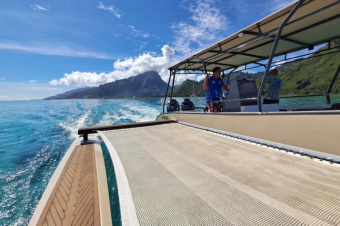 Half-Day Humpback Whales Encounter in Moorea - Who should book this experience