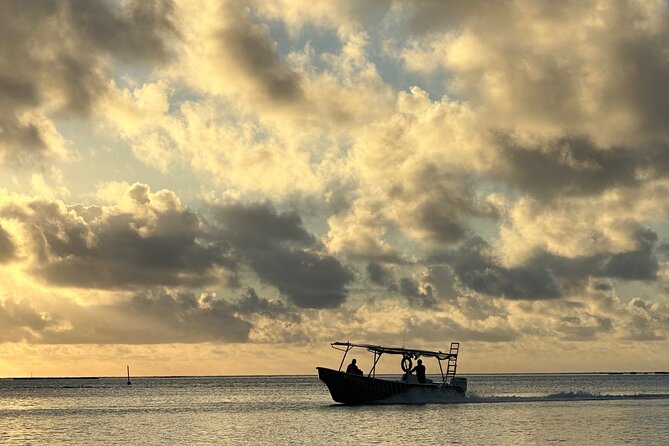 Half-Day Humpback Whales Encounter in Moorea - Practical details that affect your decision