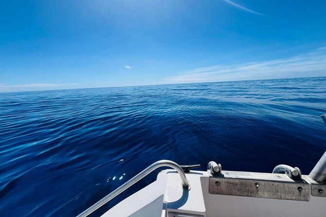 Half-Day Humpback Whales Encounter in Moorea - Should you book the Moorea humpback encounter?