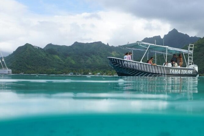 Half-Day Humpback Whales Encounter in Moorea - The four-hour search along Moorea’s coast
