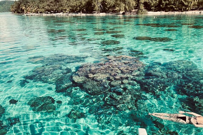 Half day lagoon safari tour in Bora Bora- Shared tour - Why This Lagoon Safari Works So Well