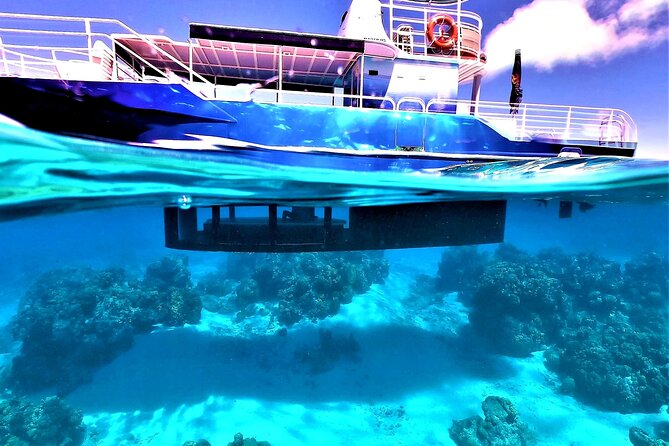 Half day lagoon safari tour in Bora Bora- Shared tour - What Is Included, and What Is Not