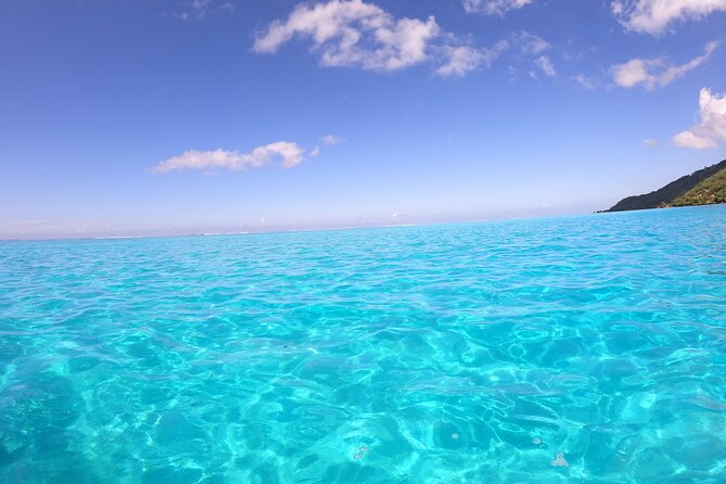 Half Day Private Boat Snorkeling Excursion Moorea - Swimming Near Sharks and Stingrays at Motu Tiahura
