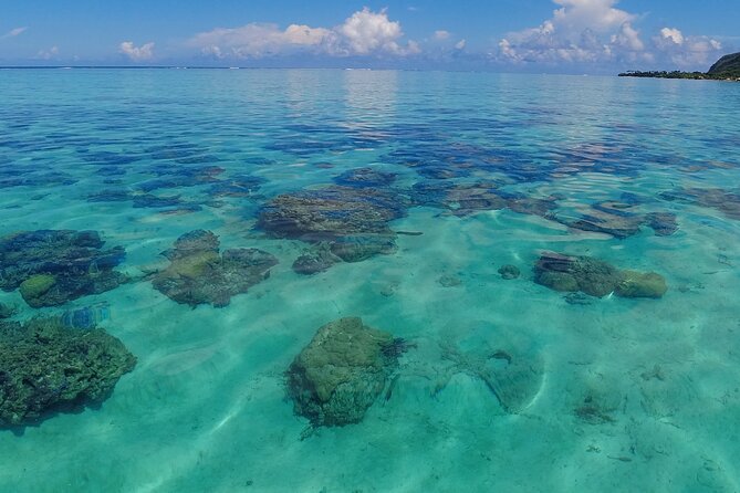 Half Day Private Boat Snorkeling Excursion Moorea - Fruit, Juice, and the Missing Lunch