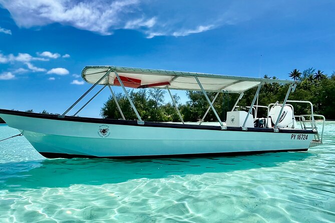 Half Day / Private Lagoon Adventure in Mo'orea - Why a private morning on Mo’orea’s lagoon works so well