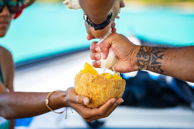 Half Day / Private Lagoon Adventure in Mo'orea - Snorkeling the coral garden