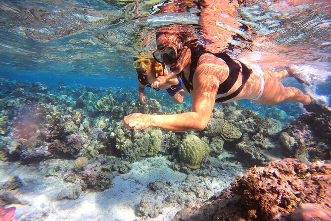 Half Day / Private Lagoon Adventure in Mo'orea - Local fruit adds a simple taste of Mo’orea