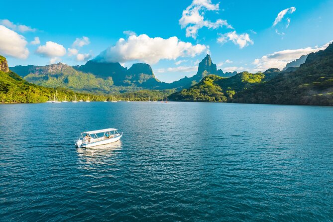 Half Day / Private Lagoon Adventure in Mo'orea - What the $668.05 group price really means