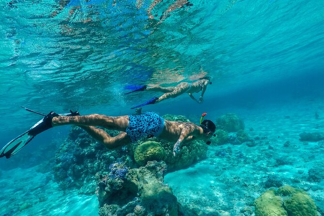Half Day Private Lagoon Snorkeling Experience - Meeting sting rays in shallow water
