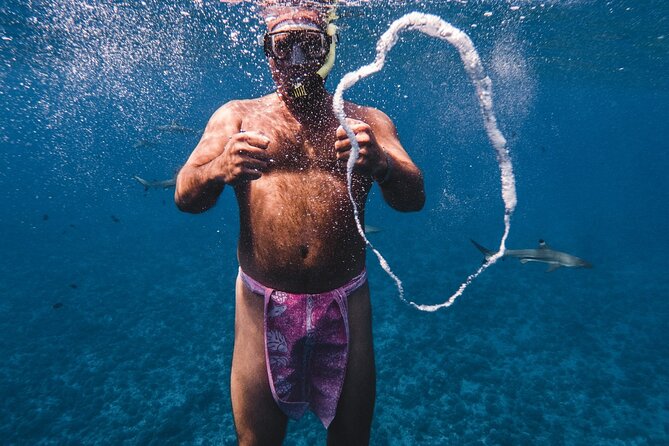 Half-Day Private Luxury Tour from Bora Bora - What the $1,125.71 price really means