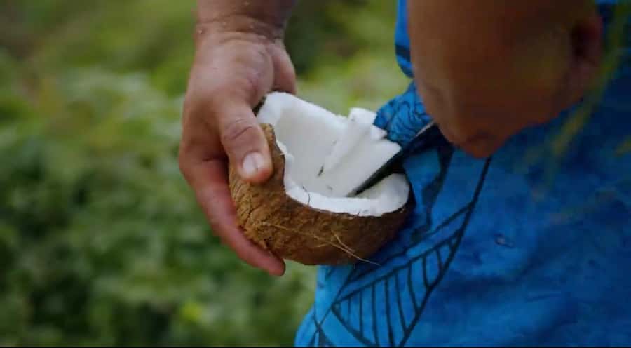Half day Private tour of Moorea Safari Albert Pick up hotel - Key points at a glance