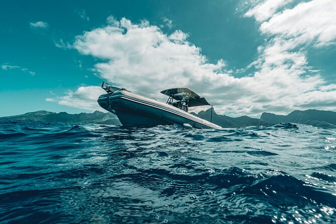 Half Day Private Whale Watching in Moorea - Four hours aboard Inutai during Moorea’s whale season