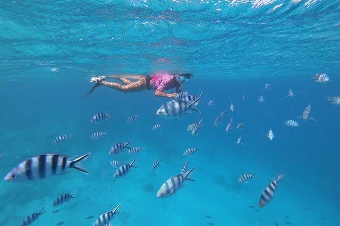 Half-Day Sailing Trip on the Lagoon of Tahiti Comments - Booking Advice Before You Pay