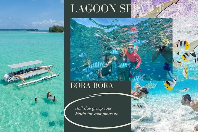 Half-Day Small-Group Cruise in Bora Bora with Snorkelling - Stop two: black-tip reef sharks in blue water