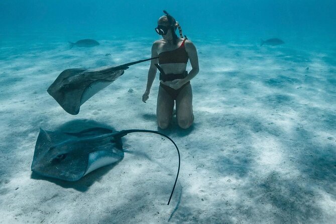 Half Day Snorkeling in Moorea - Fruit, drinks, and the pace of the morning