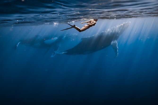 Half Day Snorkeling in Moorea - Is $143.42 a fair price?