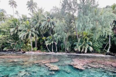 Half day Tahiti Peninsula and Teahupoo boat tour (shared boat)