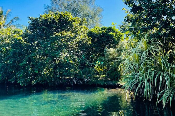 Half day Tahiti Peninsula and Teahupoo boat tour (shared boat) - Food, drinks, and the family-run touch