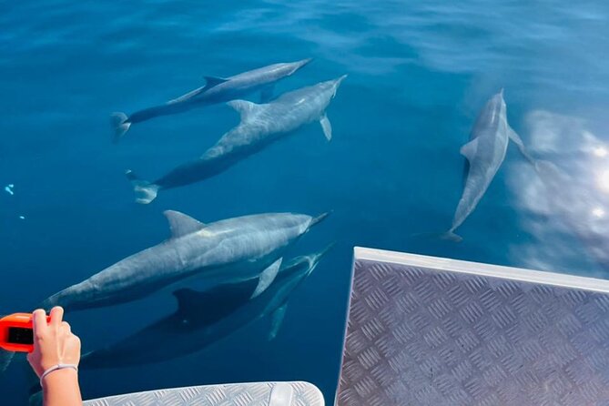 Half day Tahiti Peninsula and Teahupoo boat tour (shared boat) - What the $255.07 price buys you