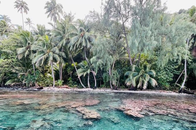 Half day Tahiti Peninsula and Teahupoo boat tour (shared boat) - A short forest walk at Vaipoiri River
