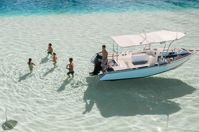 Half Day Tour lagoon discovery marine fauna flora small group - What the $170.05 price means