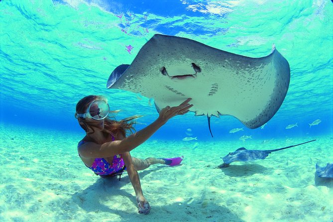 Half Day Tour : Moorea Snorkeling & Sailing on a Catamaran named Taboo - Three stops, four hours, and a comfortable rhythm