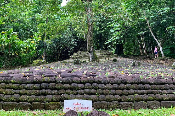 Half-Day Tour of Moorea Island in a Small Group - What this Moorea tour is really about