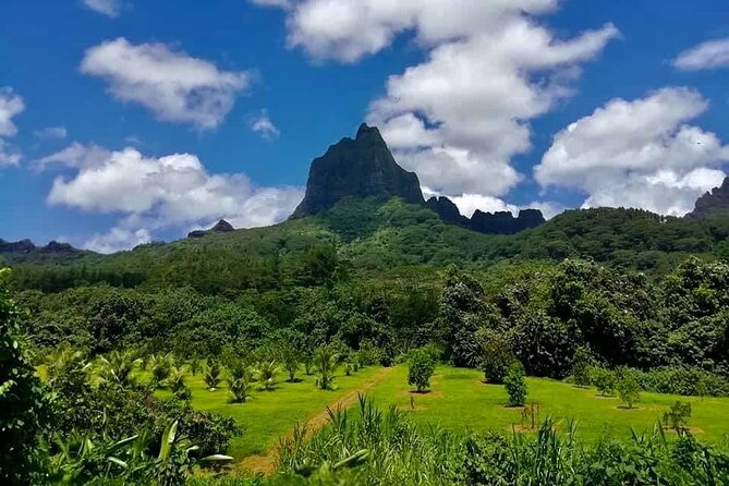 Half-Day Tour of Moorea Island in a Small Group - The agricultural school, pineapples, and tropical fruit