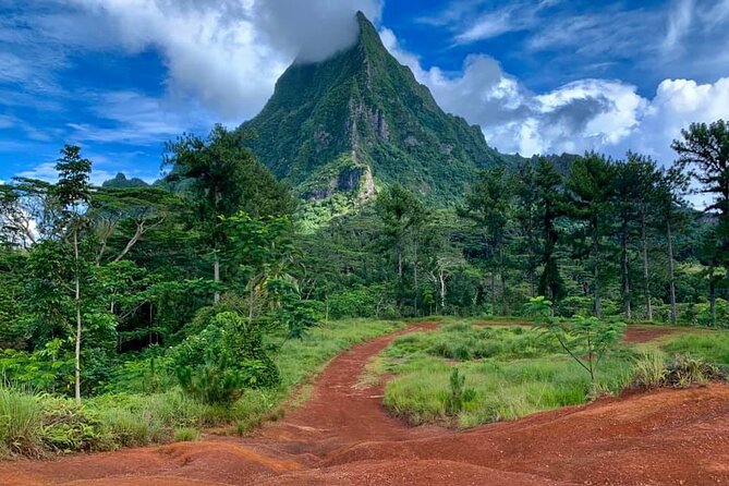 Half-Day Tour of Moorea Island in a Small Group - Cook’s Bay, an hour beside the water