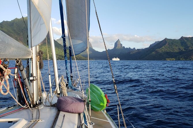 Half day whale watching - Without launch - What you actually do aboard Mori Ora