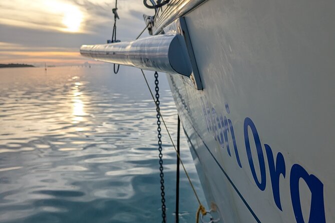 Half day whale watching - Without launch - Why the private format affects the price