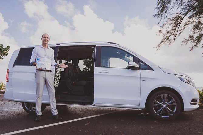 International private transfer, arrival departure, airport pier hotel rental - Meeting your driver after customs