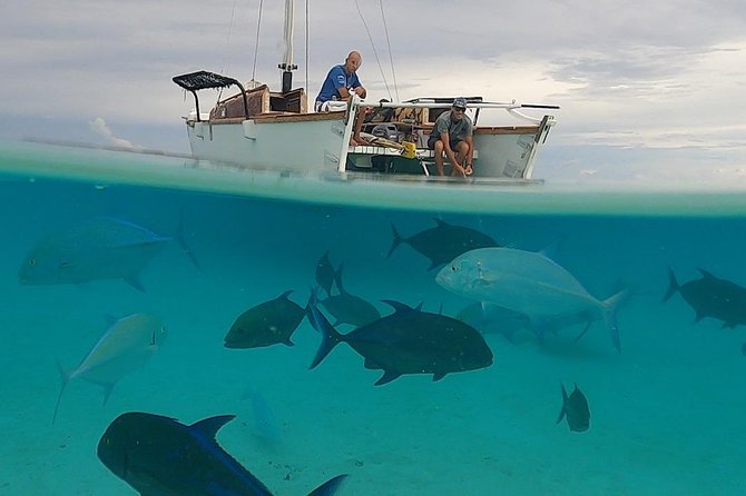 Introduction to sailing and discovering the lagoon - Morning sailing or an afternoon on the lagoon?