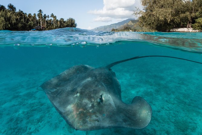 Introduction to sailing and discovering the lagoon - Is $126.32 a fair price?
