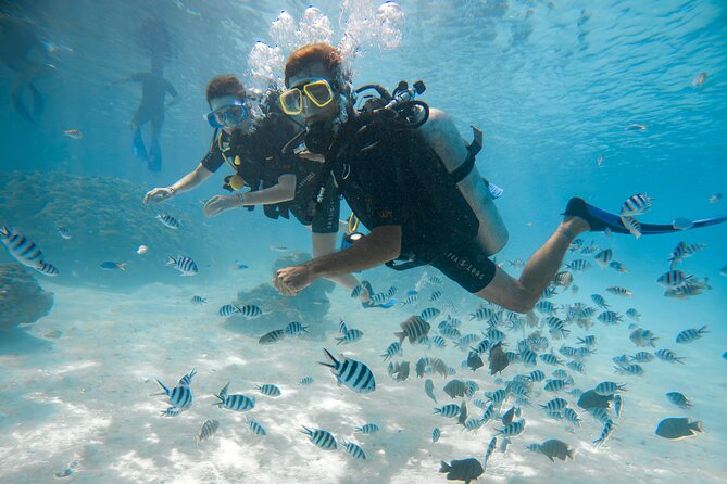 Introductory Dive in Bora Bora (afternoon) - Starting at Bora Diving Center on Matira Beach