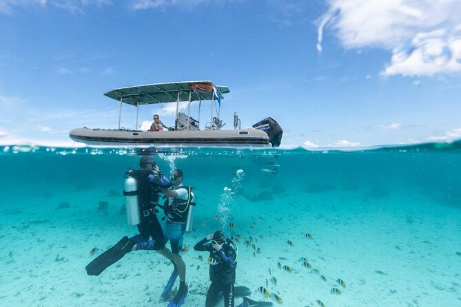 Introductory Scuba Diving Experience in Bora Bora - Why Bora Bora’s Lagoon Works Well for First-Time Scuba