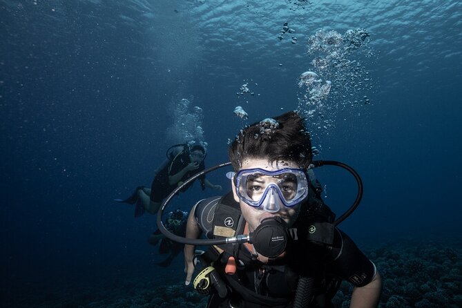 Introductory Scuba Diving Experience in Bora Bora - Meeting Nicolas, Olivier, or Tama