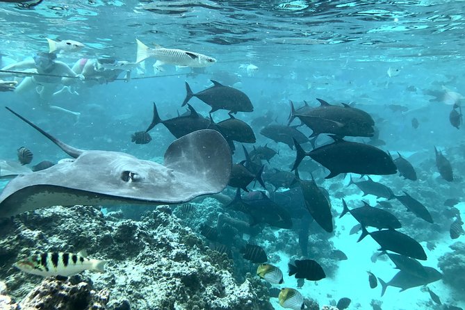 Jet Ski Moorea Customed Tour only - What the guide adds to the day