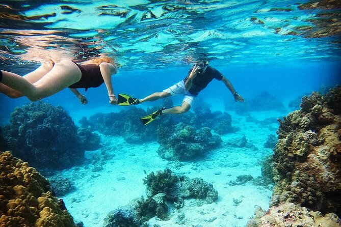 Jet Ski Moorea Customed Tour only - The equipment and the real value of the price