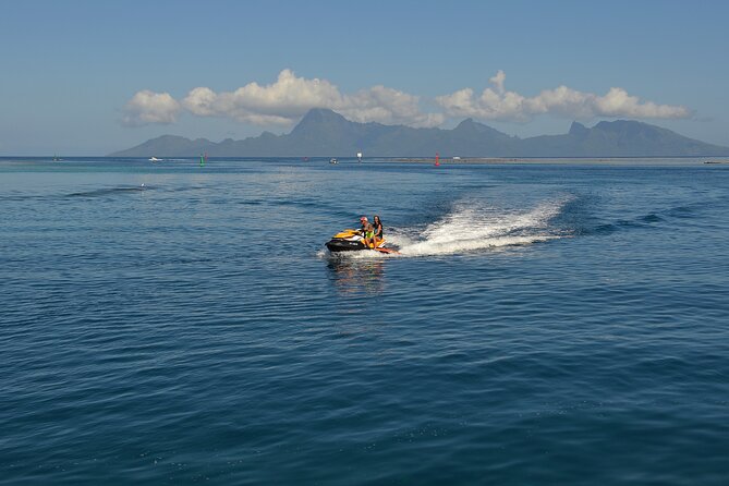 Jet Ski Trip for One Hour - The possible turtle stop