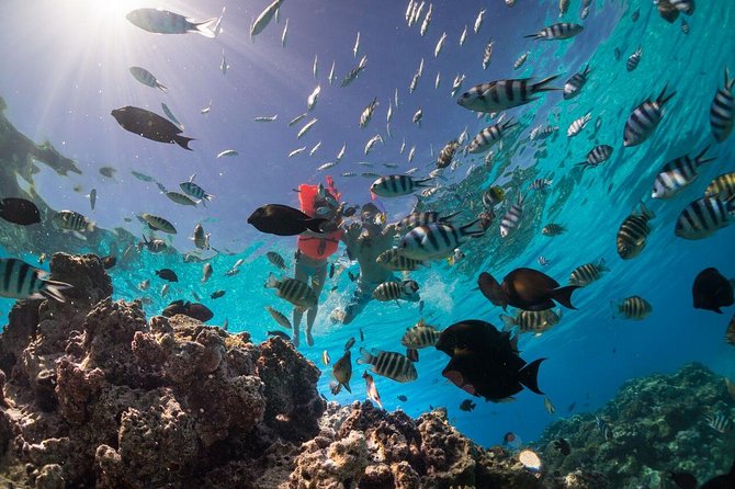 Keishi Tour Half Day Shared Excursion - Key details at a glance