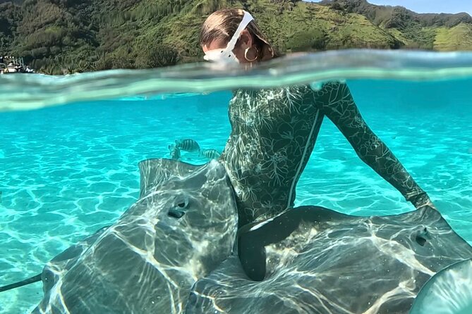 Lagoon and Marine Wildlife Tour in Moorea - Cruising Moorea’s Turquoise Lagoon