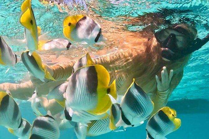 Lagoon and Marine Wildlife Tour in Moorea - The Sandbar Swim and Snorkel Stop