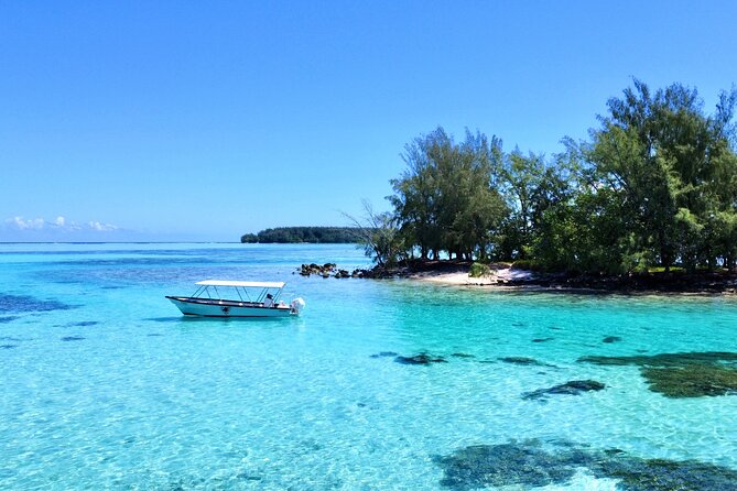 Lagoon and Marine Wildlife Tour in Moorea - Why the Small Group Size Matters