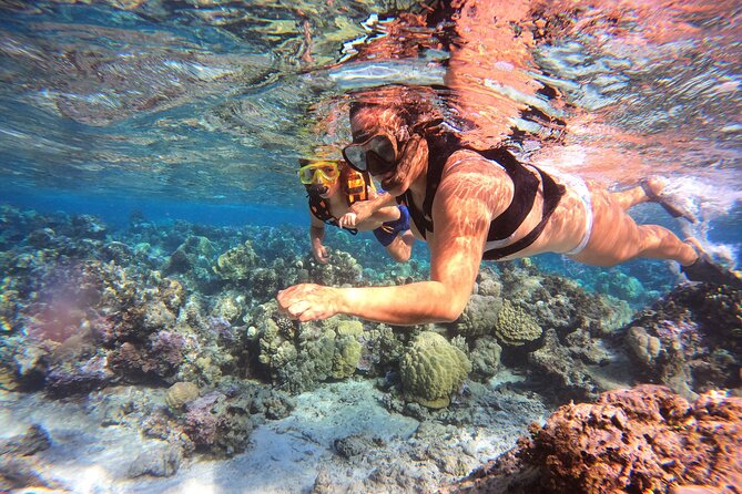Lagoon and Marine Wildlife Tour in Moorea - Who Will Enjoy This Moorea Boat Trip