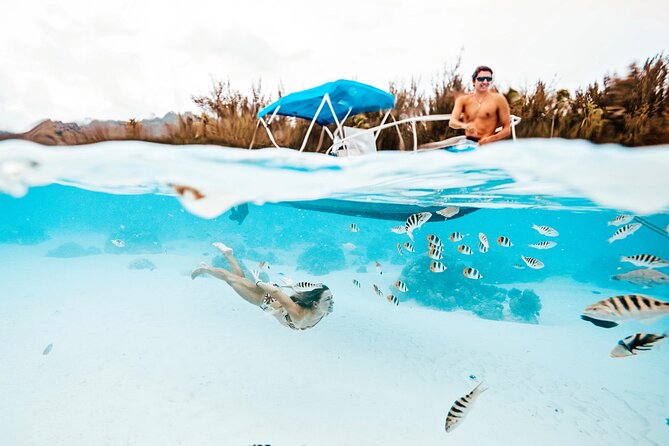 Lagoon and Wildlife Discovery on a Private Boat in Moorea - Key points about the Moorea private boat tour