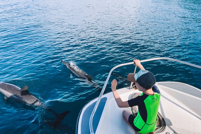 Lagoon and Wildlife Discovery on a Private Boat in Moorea - Coral gardens and small motus