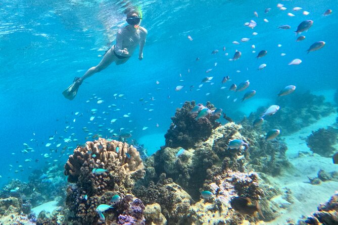 Lagoon and Wildlife Discovery on a Private Boat in Moorea - Guides, GoPro photos, and the personal touch