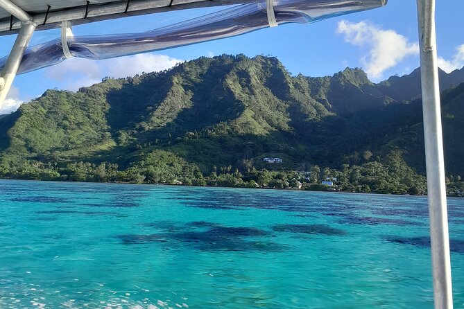 Lagoon Exploration and Snorkeling in Moorea - Price, timing, and what the value means